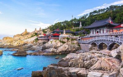 Authentic Busan Full-Day City Highlights Tour (2026 Review & Booking Guide)