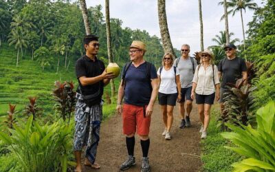 How to Get Around Bali: Public Transport & Walkability Guide (2026)