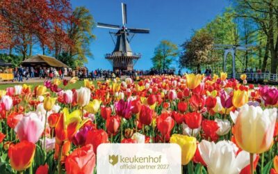 Schiphol airport to Amsterdam City Center: Transfer Options (2026)