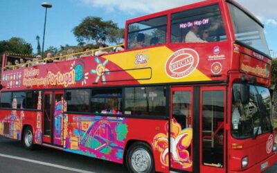 Madeira airport to Funchal City Center: Transfer Options (2026)
