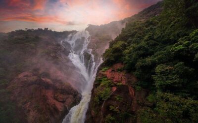 Dudhsagar Falls Tickets & How to Visit (2026 Guide)