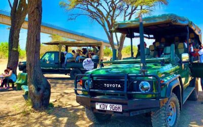 Best Tours in Nairobi: Top Ways to Experience the City (2026)