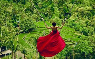 Monkey Forest Tickets & How to Visit (2026 Guide)