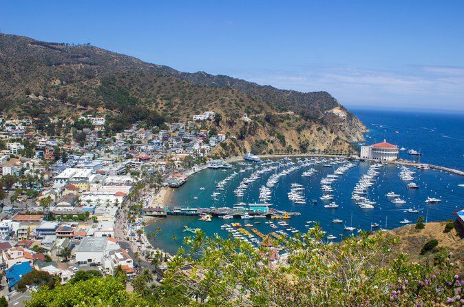 Best Tours & Experiences in Catalina Island 19 Catalina Island Avalon Scenic Tour