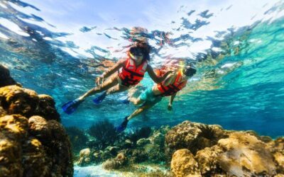 Cancun Best ATV Tour, Ziplines and Cenote Swim with Lunch (2026 Review & Booking Guide)