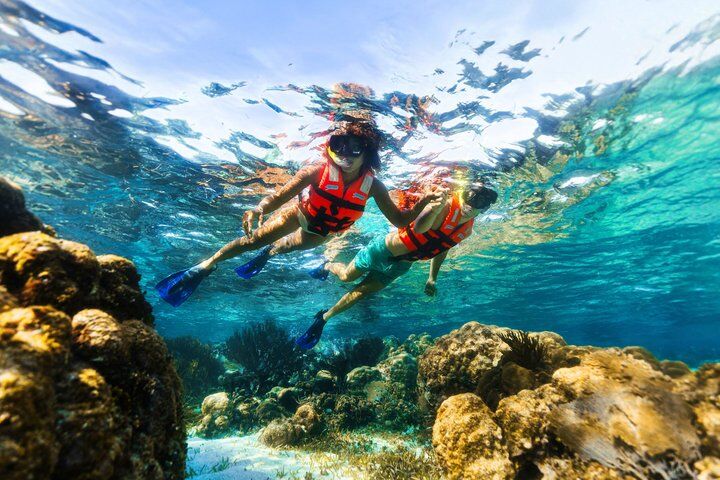 Cancun Best ATV Tour, Ziplines and Cenote Swim with Lunch (2026 Review & Booking Guide) 1 Cancun Best ATV Tour, Ziplines and Cenote Swim with Lunch in Cancun
