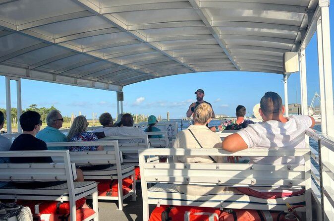 Os melhores passeios e experiências em Outer Banks 18 Wild Dolphin Tours and Sunset Cruises in Outer Banks NC