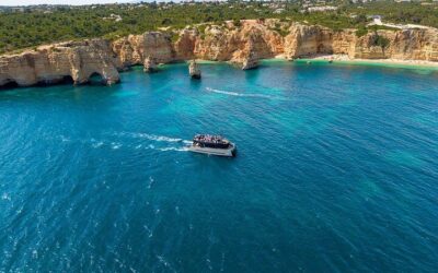 Dolphins Search and Benagil Caves from Albufeira (2026 Review & Booking Guide)