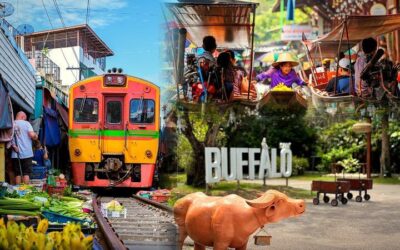Bangkok Private Highlights Tour with Local Guide (2026 Review & Booking Guide)