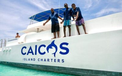 4hr Group Half Day Snorkel Excursion in Grace Bay, Providenciales (2026 Review & Booking Guide)
