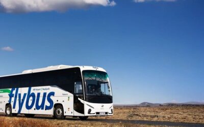 Golden Circle, Volcano Crater and Blue Lagoon Small-Group Tour (2026 Review & Booking Guide)