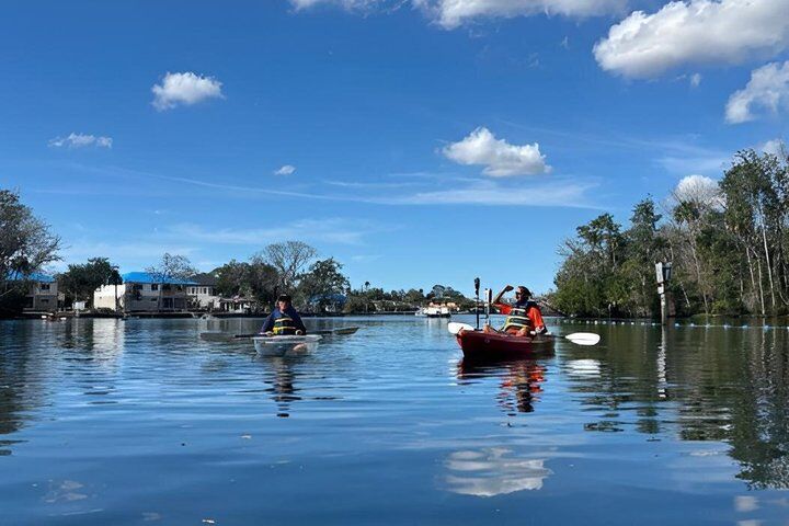 The ‘OG’ Manatee Snorkel Tour with In-Water Guide/Photographer in Crystal River