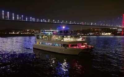 Istanbul Bosphorus Yacht Cruise with Live Guide & Asian Side Stop (2026 Review & Booking Guide)
