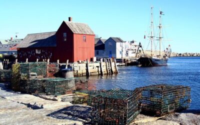Whale Watching Trips to Stellwagen Bank Marine Sanctuary. Guaranteed sightings! (2026 Review & Booking Guide)