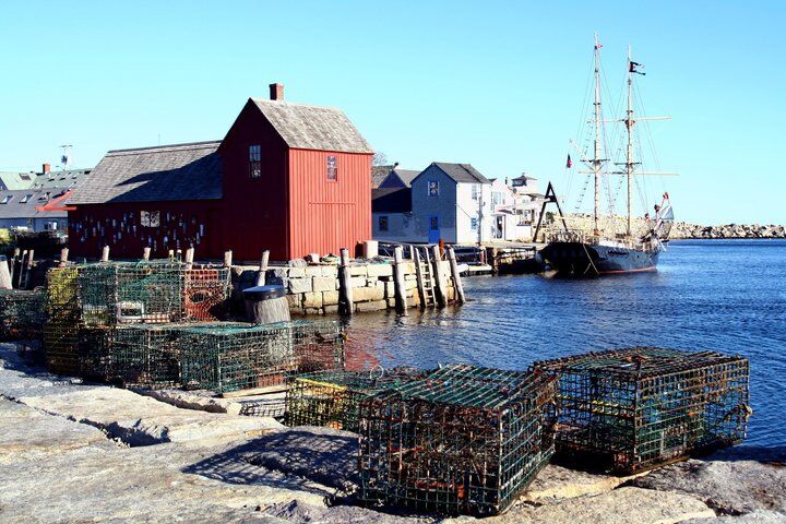 Whale Watching Trips to Stellwagen Bank Marine Sanctuary. Guaranteed sightings! (2026 Review & Booking Guide) 1 Whale Watching Trips to Stellwagen Bank Marine Sanctuary. Guaranteed sightings! in Gloucester