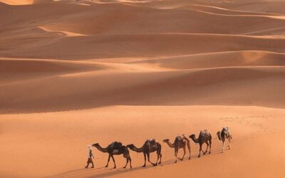 From Marrakech: 3-Day Desert Tour to Merzouga with Food and Camel (2026 Review & Booking Guide)
