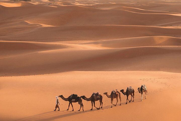 From Marrakech: 3-Day Desert Tour to Merzouga with Food and Camel (2026 Review & Booking Guide) 1 From Marrakech: 3-Day Desert Tour to Merzouga with Food and Camel in Marrakech