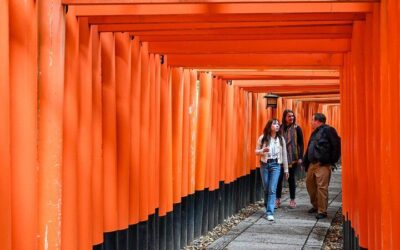 Kyoto Customized Private Tour in 1 Day with Licensed Guide (2026 Review & Booking Guide)