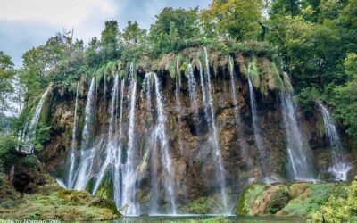 From Zadar Plitvice Lakes Guided Day Tour with Tickets (2026 Review & Booking Guide)
