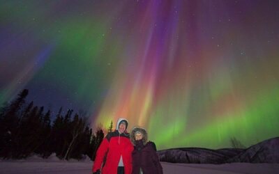 Dog Sledding and Mushing Experience in North Pole (2026 Review & Booking Guide)