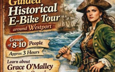 Clew Bay Cruise, Westport ( 90 minutes ) (2026 Review & Booking Guide)