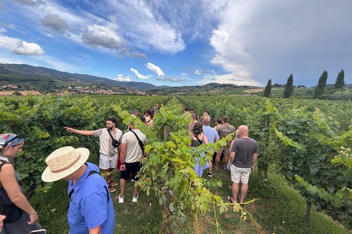 Uffizi & Accademia Timed Entry: Small Group Duomo Walking Tour in Florence