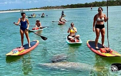 Best Things to Do in Daytona Beach (2026): Top-Rated Tours & Experiences