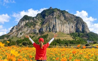 Best Day Trips from Jeju (2026)