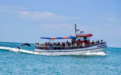 Best Things to Do in Clearwater (2026): Top-Rated Tours & Experiences