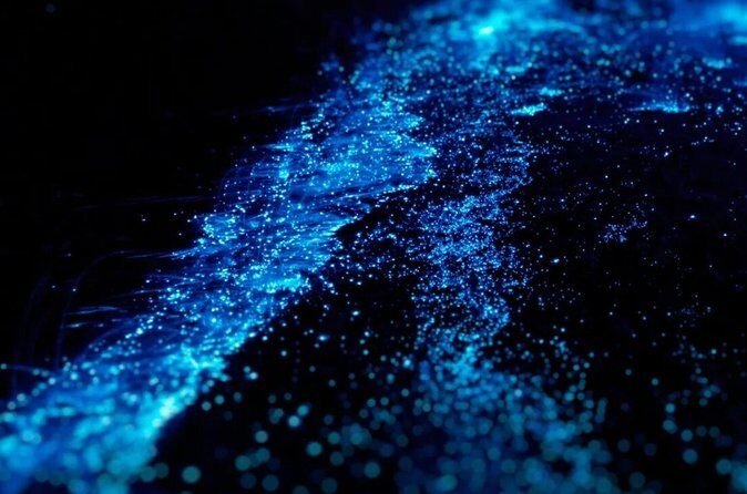 Best Tours & Experiences in San Juan Islands 14 Bioluminescence and Sunset Kayak Tour in the San Juan Islands