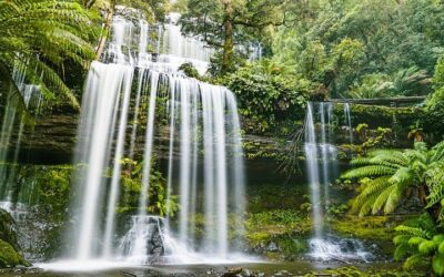 Best Time to Visit Hobart (2026): Month-by-Month Guide