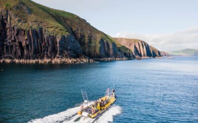 Best Things to Do in Dingle (2026): Top-Rated Tours & Experiences