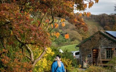 Windermere Itinerary: The Perfect 3 Days