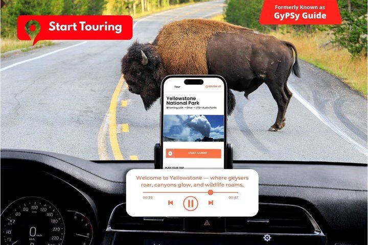Self-Guided Audio Driving Tour in Yellowstone National Park