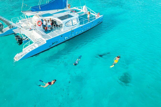 Catamaran Dolphin Snorkeling