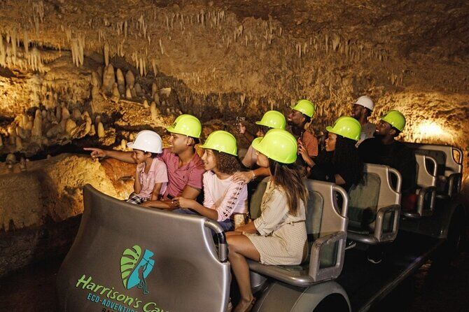 Cave and Monkey Zipline Experience at Harrisons Cave by Chukka