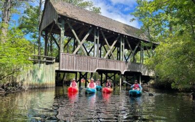 2-hour Outer Banks Wild Horse Tour by 4WD Truck (2026 Review & Booking Guide)