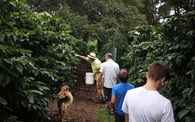 Best Tours & Experiences in Boquete