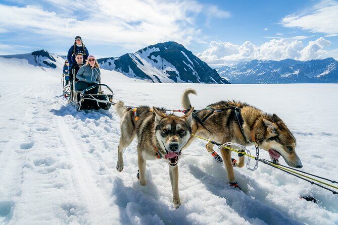 글레이셔 베이(알래스카) 최고의 투어 & 체험 18 Helicopter and Glacier Dogsled Tour - Glacier Bay Alaska