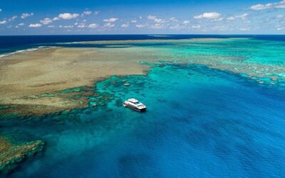 Best Time to Visit Port Douglas (2026): Month-by-Month Guide