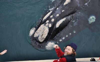 Best Tours & Experiences in Puerto Madryn, Argentina