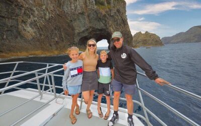 Best Tours & Experiences in Paihia