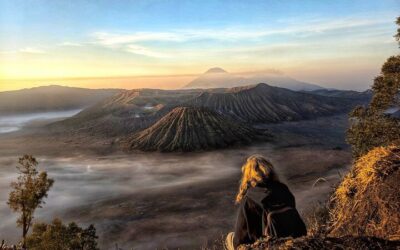 Best Things to Do in Surabaya (2026): Top-Rated Tours & Experiences