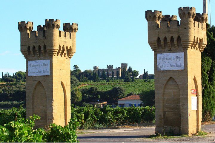 Meilleurs tours et expériences à Avignon France 20 Châteauneuf du Pape Wine Day Tasting Tour including Lunch from Avignon