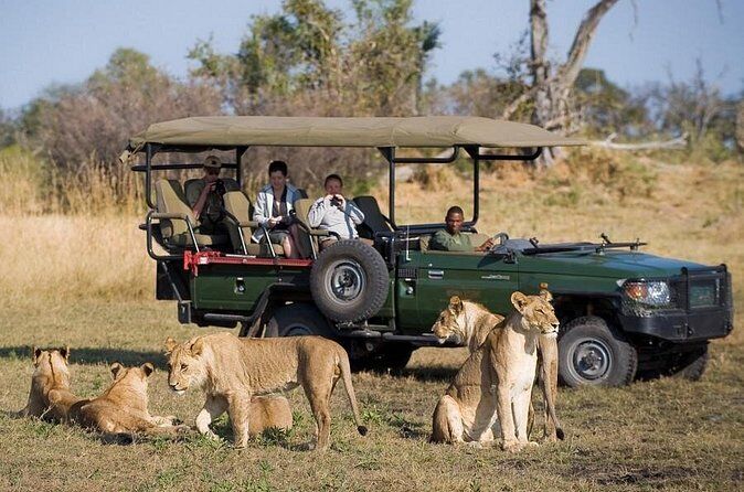 Chobe Day Trip from Victoria Falls