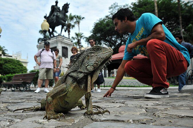City Tour Guayaquil