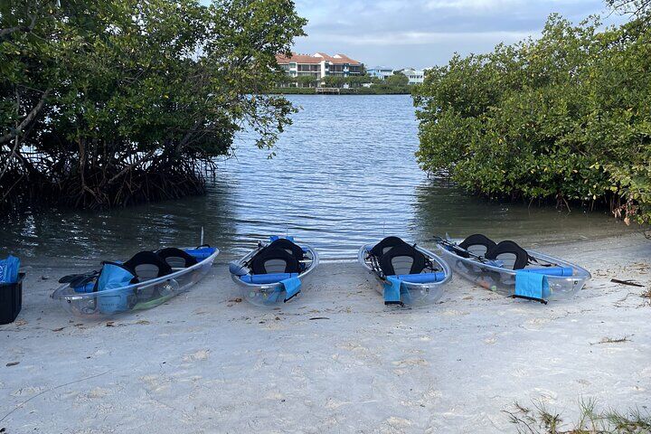 Die besten Touren und Erlebnisse in Jupiter, Florida 8 Clear Kayak Eco Tour in Jupiter, Florida