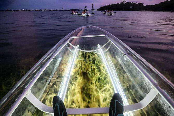 Clear Kayak LED Night Glass Bottom Tour Siesta Key FL - Siesta Key Florida