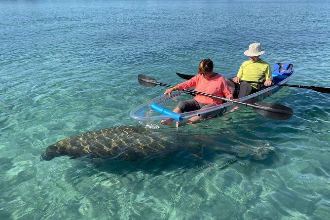 Die besten Touren und Erlebnisse in Jupiter, Florida 12 Clear Kayak Tours in Jupiter - Jupiter Florida