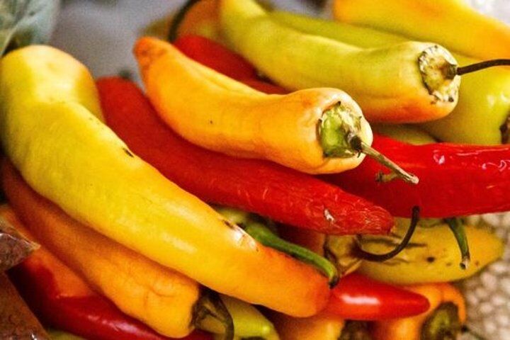 Best Tours & Experiences in Cozumel 15 Cozumel Food Tour